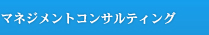 マネジメントコンサルティング